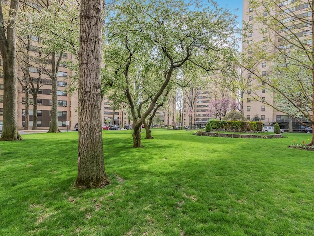 view of community featuring a lawn