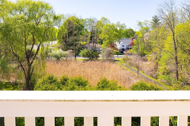 412 Crystal Hill Ln, Poughkeepsie, NY 12603 - view of yard