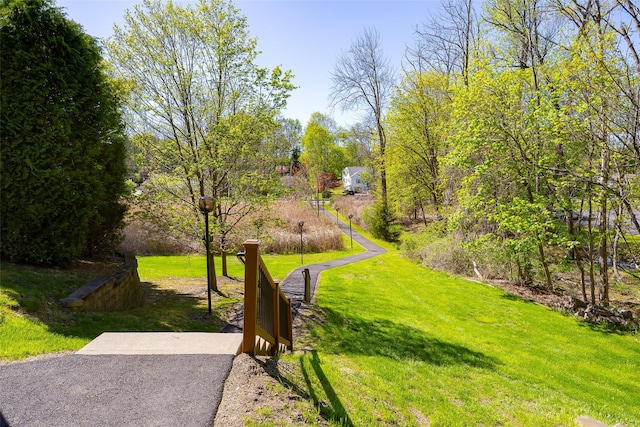 412 Crystal Hill Ln, Poughkeepsie, NY 12603 - view of community with a lawn