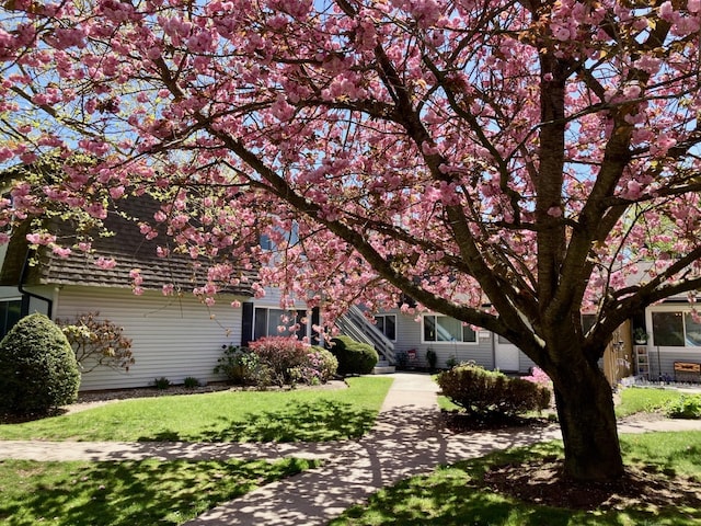 obstructed view of property with a front yard