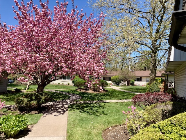 view of community with a yard