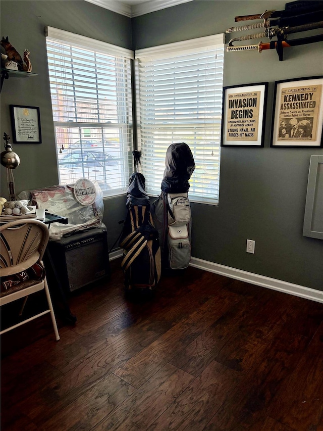 miscellaneous room featuring ornamental molding, a healthy amount of sunlight, and hardwood / wood-style floors