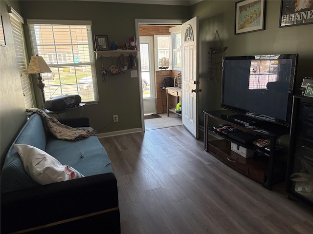 living area featuring baseboards, ornamental molding, a wealth of natural light, and wood finished floors
