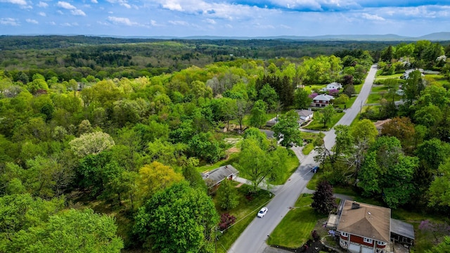 11 Mcintosh Dr, Poughkeepsie, NY 12603 - drone / aerial view featuring a forest view