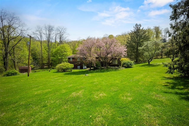 view of green lawn