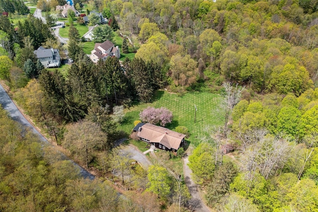 aerial view of a forest