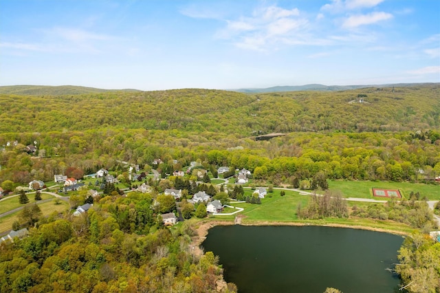aerial view of a forest and a large body of water