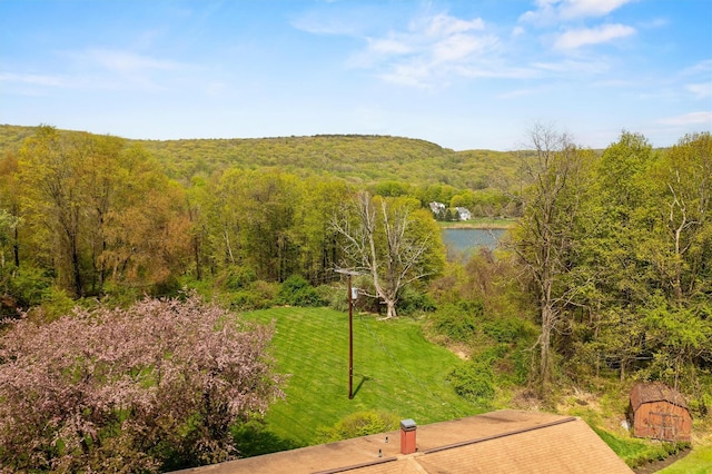 bird's eye view of a forest and a nearby body of water