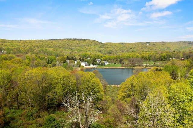 aerial view of a heavily wooded area and a nearby body of water