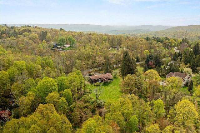 drone / aerial view of a heavily wooded area and a mountain backdrop