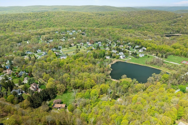 view of property location with a heavily wooded area and a nearby body of water