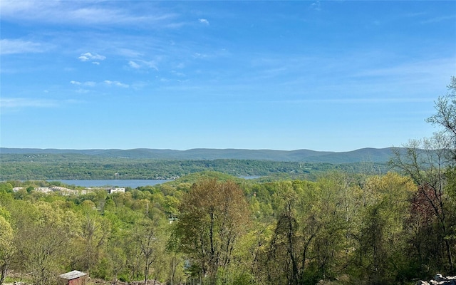 view of mountain feature featuring a water view and a view of trees
