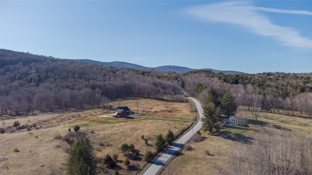 2312 Rt-42, Hunter, NY 12452 - photo 48