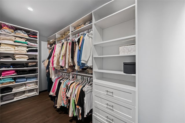 walk in closet with dark wood-style floors