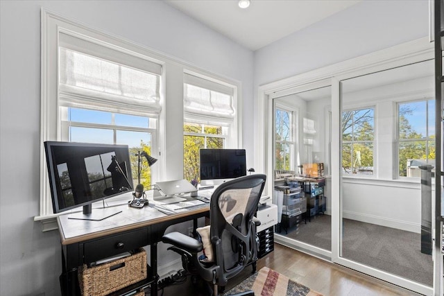 office featuring wood finished floors