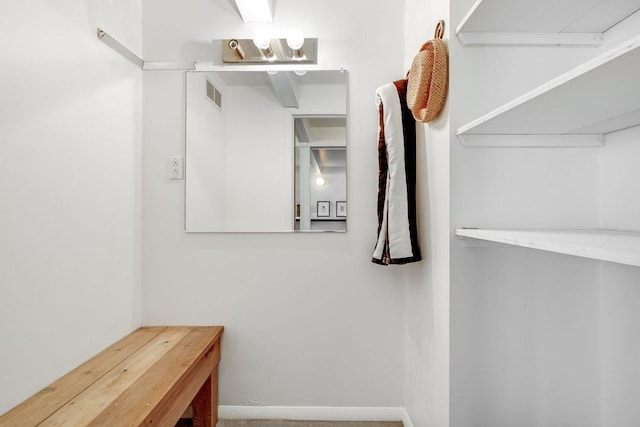 walk in closet featuring visible vents