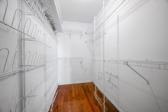 spacious closet with wood-type flooring