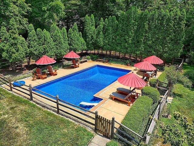 view of swimming pool with fence private yard, a fenced in pool, and a patio