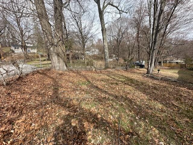 1 Rutland Dr, Patterson, NY 12563 - view of yard