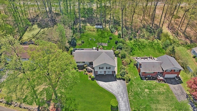 drone / aerial view