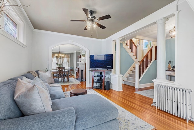 living area featuring ornamental molding, stairs, wood finished floors, radiator heating unit, and ceiling fan with notable chandelier