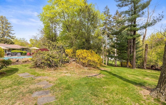 view of yard with a covered pool