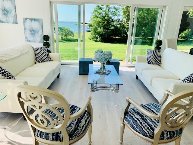 living area featuring a water view, plenty of natural light, and wood finished floors
