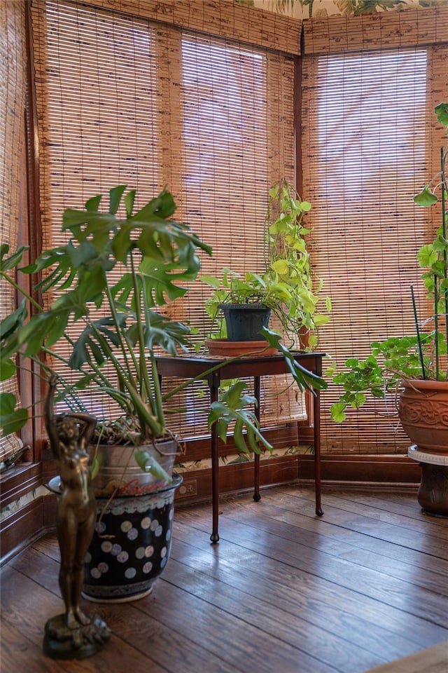 interior space featuring wood finished floors