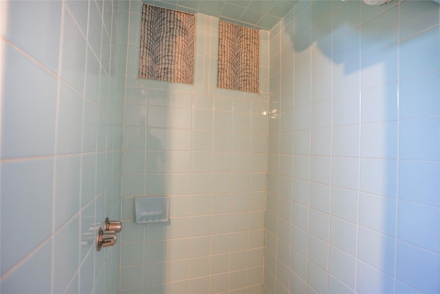 room details with a tile shower
