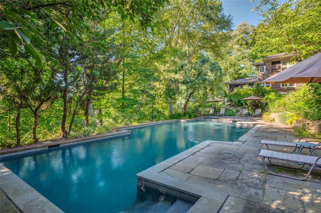 outdoor pool with a patio