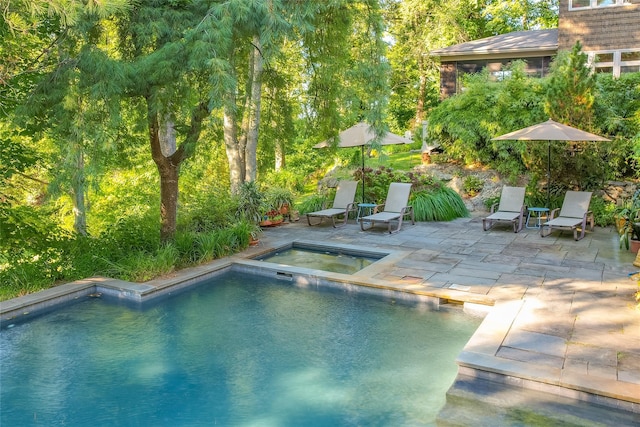 outdoor pool with an in ground hot tub and a patio area