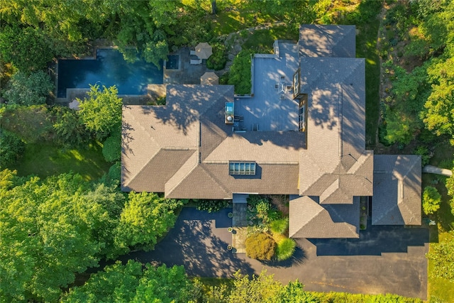 bird's eye view