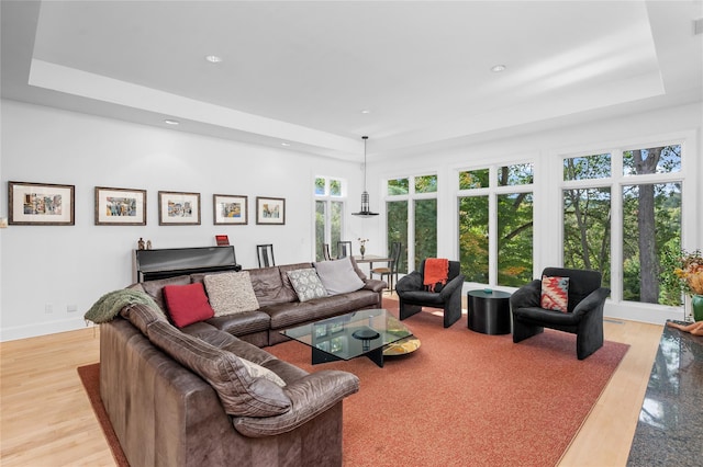 living area with recessed lighting, light wood finished floors, and a raised ceiling