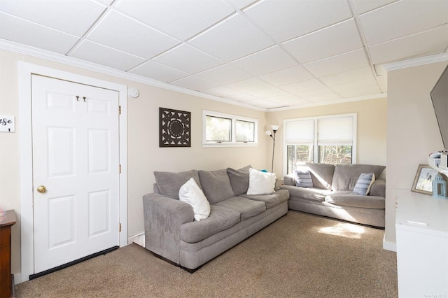 carpeted living area featuring crown molding and a paneled ceiling