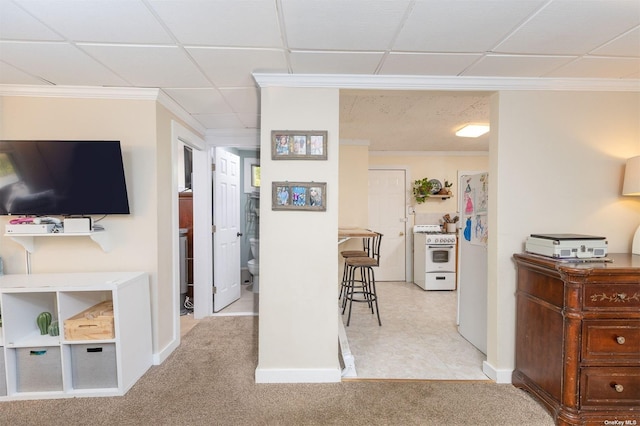 interior space with baseboards, a paneled ceiling, crown molding, and light colored carpet