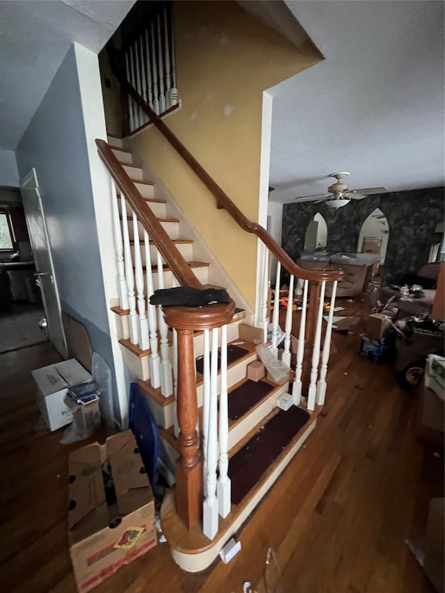 stairs featuring ceiling fan and wood finished floors