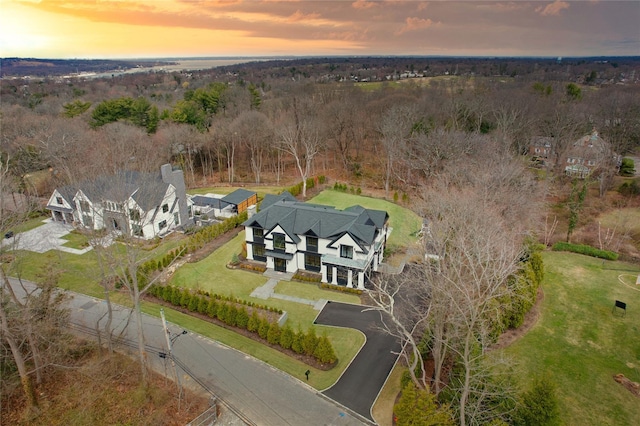 drone / aerial view