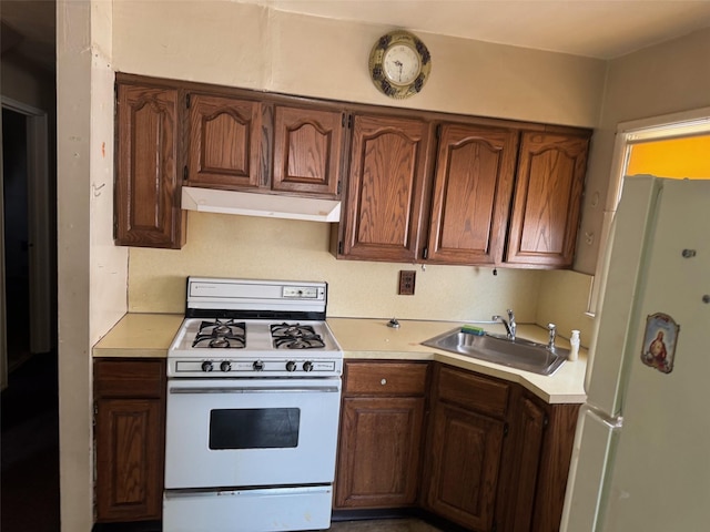 kitchen with white appliances, under cabinet range hood, a sink, and light countertops