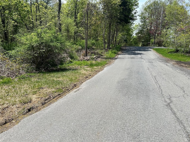 19 S Cross Rd, Hyde Park, NY 12580 - photo 1