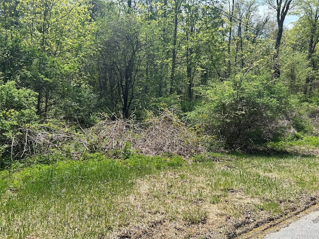 19 S Cross Rd, Hyde Park, NY 12580 - photo 2