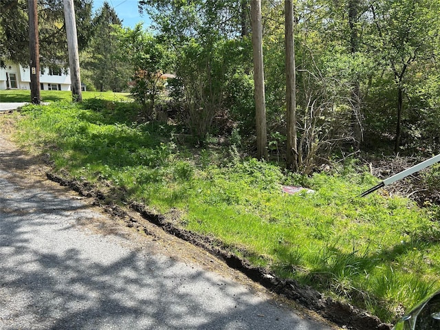 19 S Cross Rd, Hyde Park, NY 12580 - photo 4