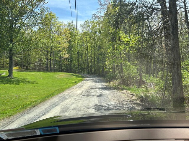 19 S Cross Rd, Hyde Park, NY 12580 - photo 5