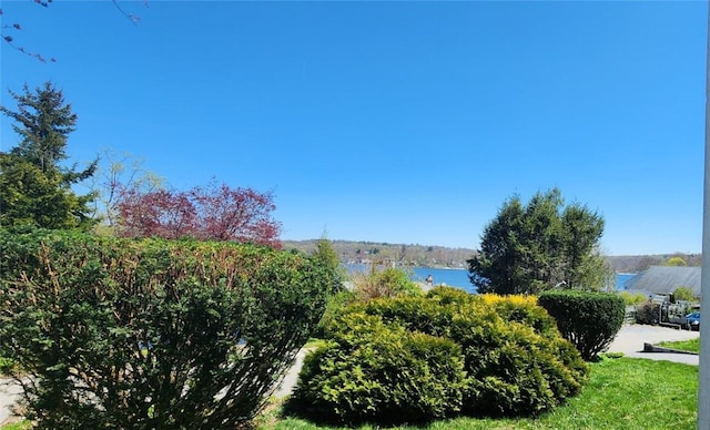 water view