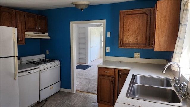 kitchen with white appliances, dark colored carpet, light countertops, under cabinet range hood, and a sink