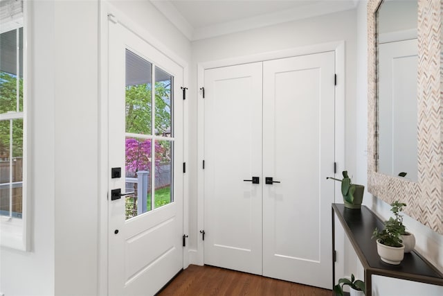 doorway to outside with dark wood-style flooring and plenty of natural light