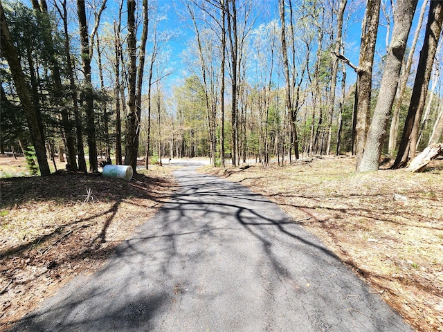 view of street with a view of trees