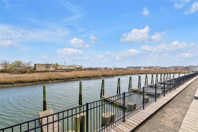 dock area with a water view