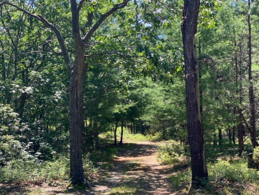 28 Edwards Hole Rd, East Hampton, NY 11937 - photo 1