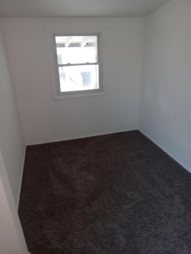 unfurnished room featuring carpet floors