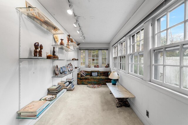 50 Oakland Ave, Tuckahoe, NY 10707 - sunroom / solarium with carpet, baseboards, and rail lighting